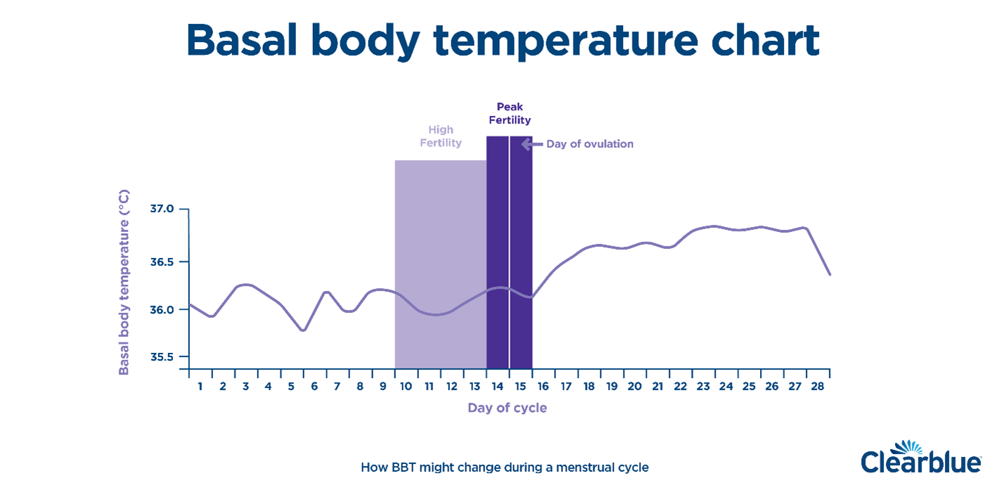 bazalna-tjelesna-temperatura-definicija-i-grafikoni-clearblue